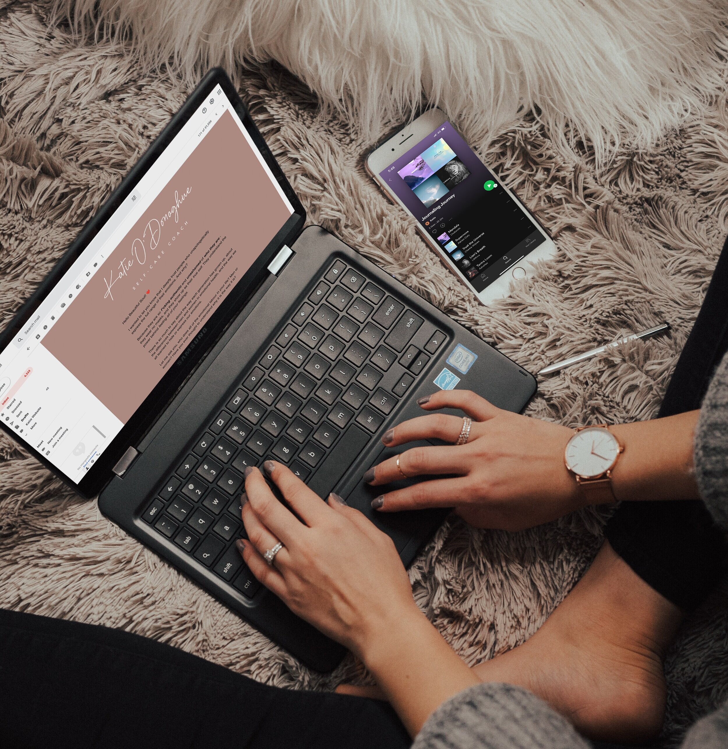 Laptop email Insitu.jpg